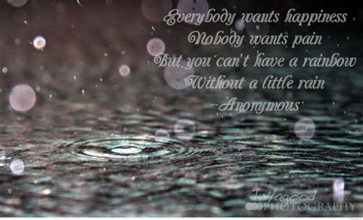 Finding Joy: Happy In The Rain Quotes