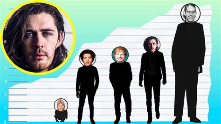 Hozier Height: Impressive Stature Of The Irish Singer