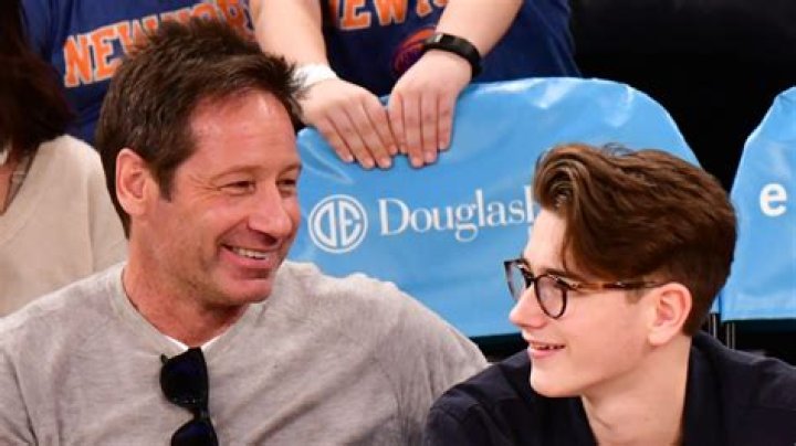 David Duchovny's Son: A Rising Star In Acting?