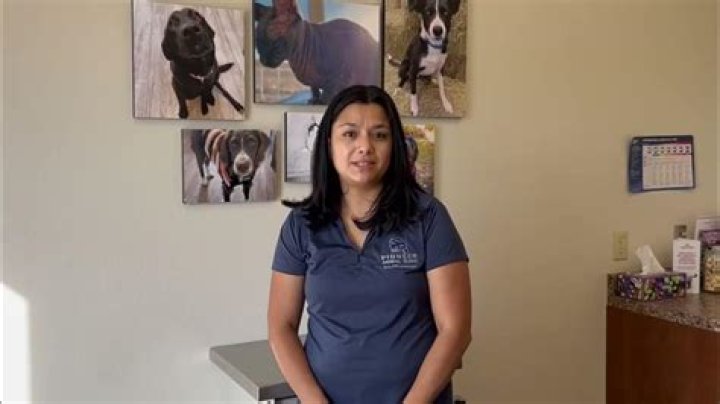 Pioneering Veterinary Care At Pioneer Animal Clinic